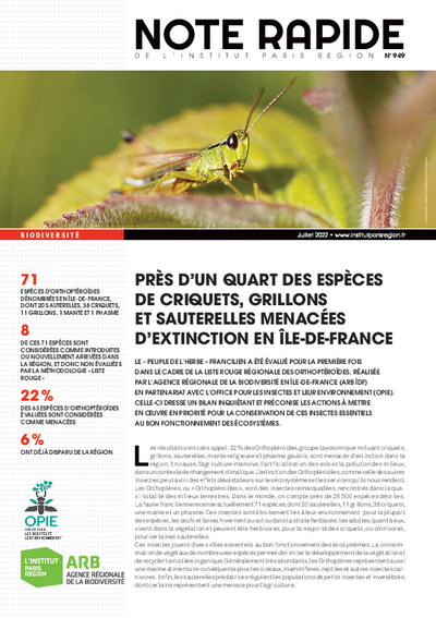 Près d&rsquo;un quart des espèces de criquets, grillons et sauterelles menacées d&rsquo;extinction en Île-de-France